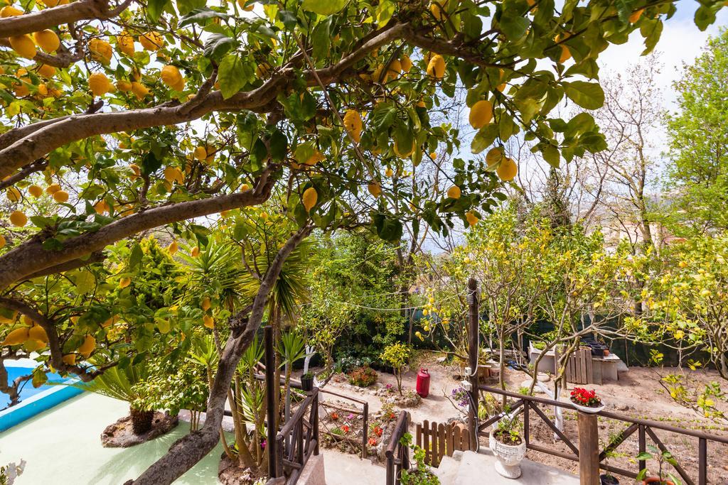 Nitrodi Experience Barano dʼIschia Exterior foto